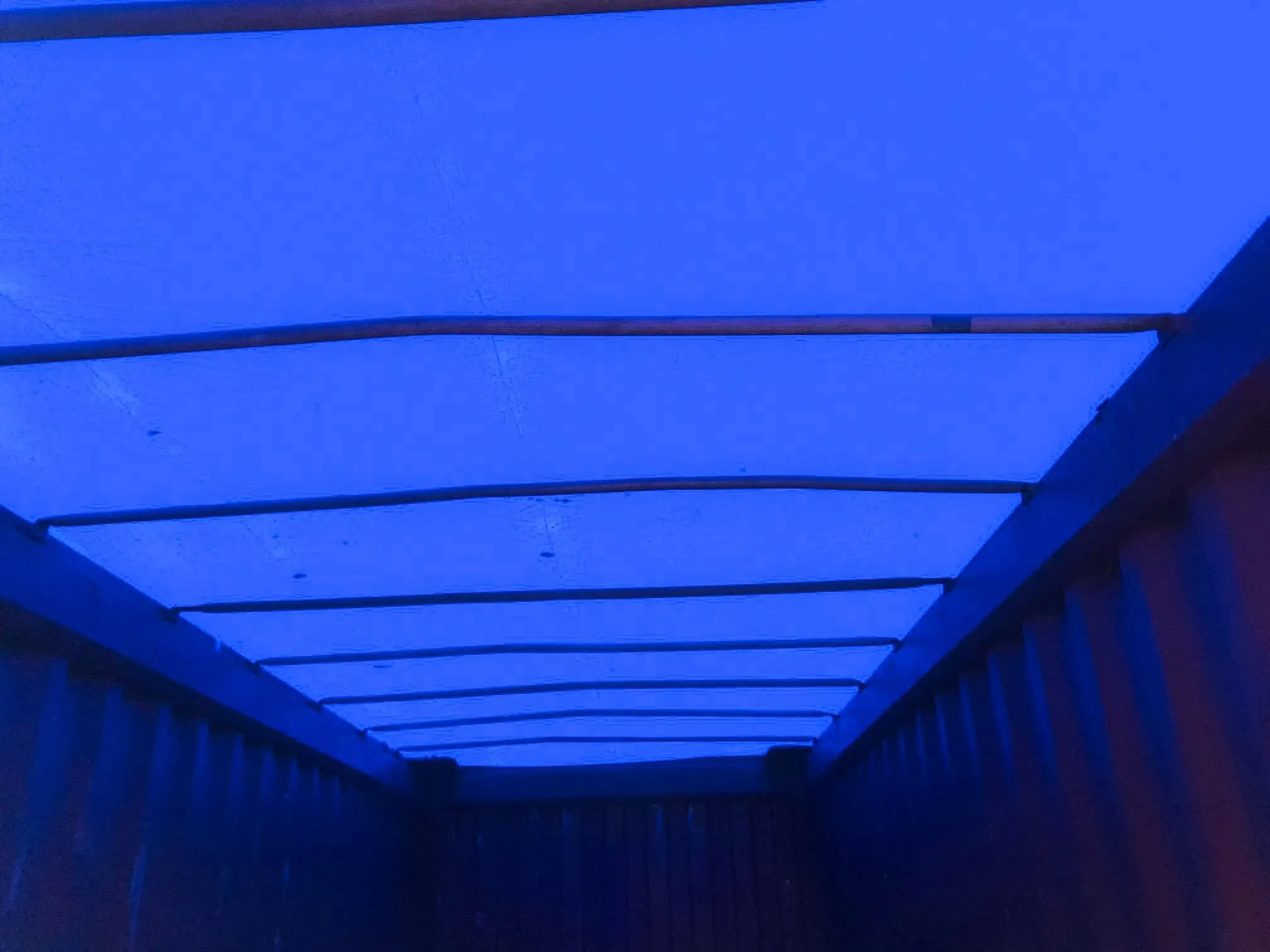 Efficient Shipping Container Solutions | Top-Quality Options Near You